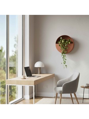 Aura Levitia Fiber Saksı - 30CM x 15CM Duvar Saksısı