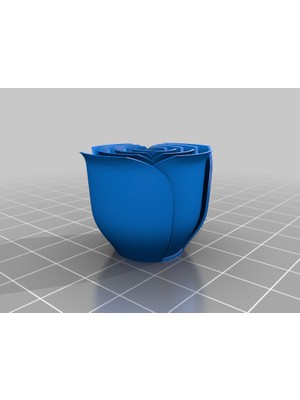 Byr Bir Tencerede Güller (Plastik Aparattır!!!) 3D