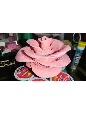 Byr Pembe Edelweiss'te Gül (Sadece Plastik Aparattır!!!) 3D