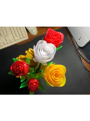 Byr Yıldönümü Gülleri (Sadece Plastik Aparattır!!!) 3D