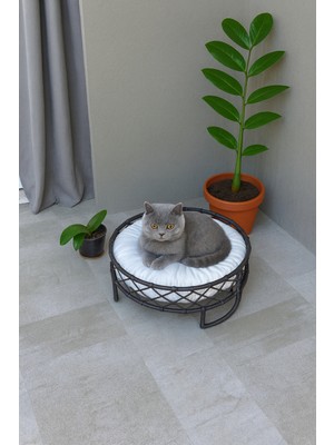 Konforlu ve Şık Kedi Yatağı | Yumuşak, Dayanıklı  Özel Tasarım ve Üstün Konfor