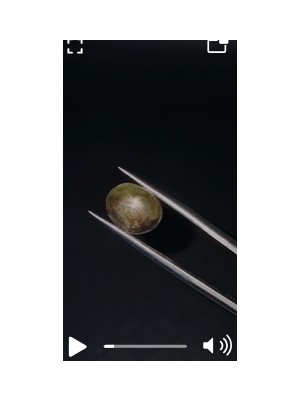 5.79CT 10.9x8.8mm Oval Natural 6 Ray Star Sapphire Unheated