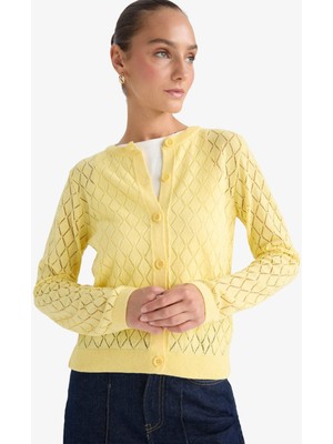 DeFacto Regular Fit Bisiklet Yaka Ajurlu Düğmeli Triko Hırka G0191AX25AU