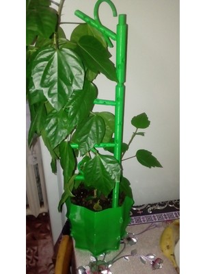 Yeni Çiçek Tutucu. Gül Için Tasarlandı (Plastik Aparattır!!!)