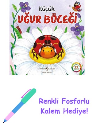 Küçük Uğur Böceği + Renkli Fosforlu Kalem