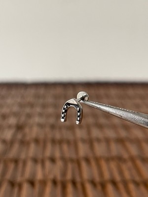 Aida Jewelss 316 L Cerrahi Çelik Helix Tragus Kıkırdak Conch Piercingi