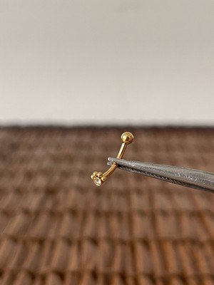 Aida Jewelss 316 L Cerrahi Çelik  Kaş Piercingi Kulak Snug Helix Kıkırdak Daith Conch Rook Tragus Piercing