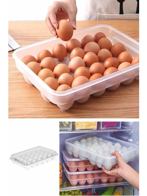 30 Bölmeli Plastik Kapaklı Yumurta Saklama Kutusu Düzenleyici Yumurta Saklama Kabı