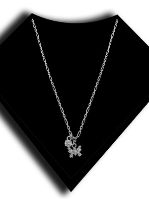 925 Ayar Gümüş Tek Taş Sallantılı Ataç Zincirli Taşlı Kelebek Kadın Kolye