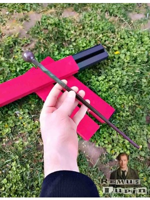 Harry Potter Filmi Remus Lupin Asa