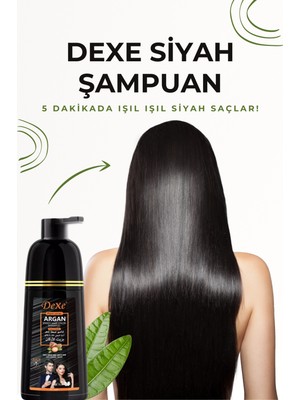 Dexe Siyah Saç Boyama Şampuanı 420ml | 5 Dakikada Hızlı ve Pratik Boya