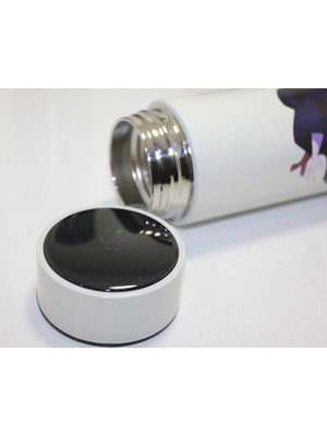 Ttt Anime Baskılı Dijital Göstergeli Termos 500 ml Model 1