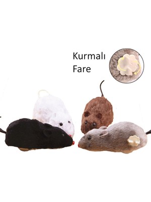 Buy Global Kurmalı Fare Kedi Eğitim Oyuncağı