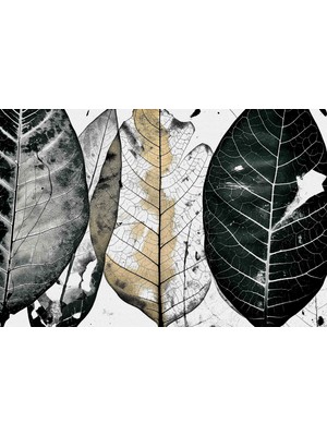 Aden Dekoratif Yapraklar Kanvas Tablo