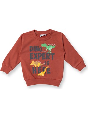 Hellobaby Erkek Bebek Sweatshirt  Dinazor Baskılı Bisiklet Yaka Uzun Kol