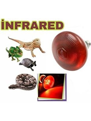 AKDEREPET Isıtıcı Lamba Infrared 250 Watt Lamba