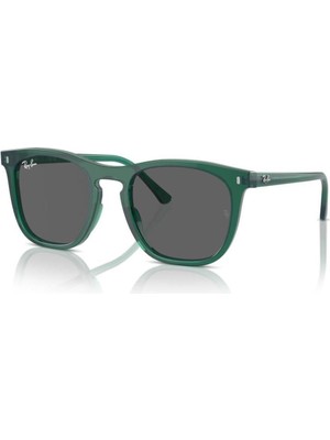 Ray-Ban Güneş Gözlüğü RB2210 53 6615B1
