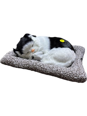 Minderde Uyuyan Büyük Gerçekçi Kedi