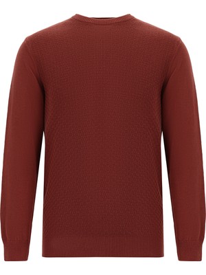 Bisiklet Yaka Regular Fit Desenli Pamuklu Kaşmirli Triko Kazak