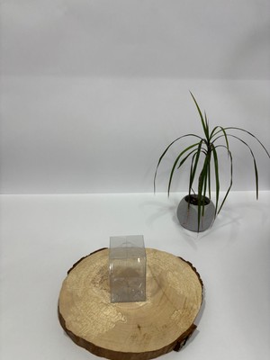 5X5X6.5 Şeffaf Asetat Kutu [100 Adet Demonte ]