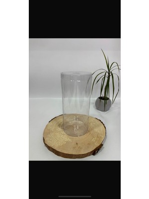 Burhan Ambalaj Silindir Asetat Kutu Çap 9 cm Yükseklik 19,5cm [10 Adet]