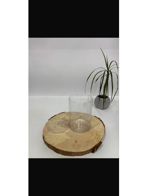 Burhan Ambalaj Silindir Asetat Kutu Çap 8 Yükseklik 11 [10 Adet]