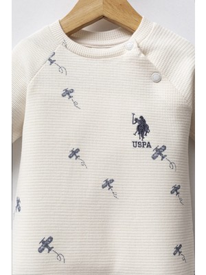 U.s. Polo Assn Tulum USB2604 Ekru