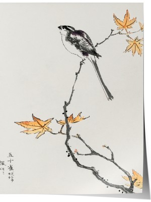 Çerçevesiz Poster, Dal Üzerinde Kuş Deseni, Salon Dekoru Poster No: 113483