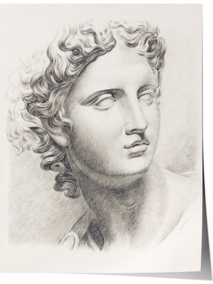 Çerçevesiz Poster, Klasik Heykel Portresi Çizim, Ofis Dekoru Poster No: 113633