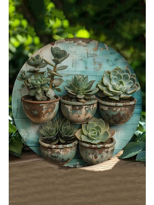 Sukulent Saksı Tasarımlı Uv Baskı Mdf Duvar Süsü – 33X33 cm & 20X20 cm DT160