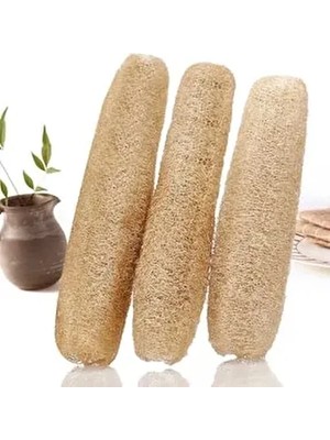 40 cm 3 Adet Banyo Hamam Lif Kabak Kesesi Organik Doğal Kabak Lifi Taze Organik Sünger