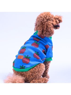 Apple Kaşkorse  Elma Desenli Sweat Kedi Köpek Sweat Kedi Köpek Kıyafeti