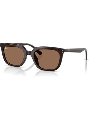 Ray-Ban Güneş Gözlüğü RB4439D 54 623173 Unisex Kahverengi Çerçeve ve Cam UV 400 Filtreli