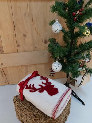 Pamuklu 2'li Şirin & Modern Nakışlı Hediyelik Havlu Seti Baveno