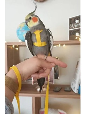 Alyones Kuş Tasması 160 cm Ayarlanabilir Güvenli Tasma 6 Renk Seçeneğiyle Dayanıklı Kumaş