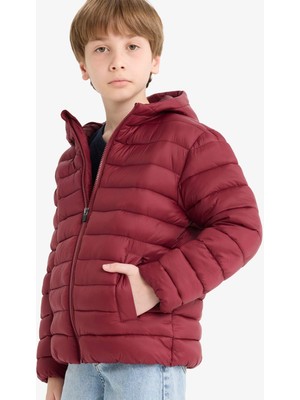 DeFacto Erkek Çocuk Su Geçirmez Kapüşonlu Fermuarlı Şişme Mont E8688A825AU