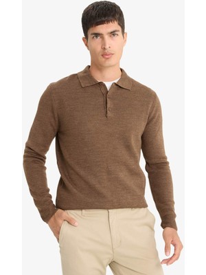 DeFacto Standart Fit Polo Yaka Triko Kazak F1523AX25AU