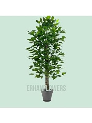 Erhan Flowers 110 cm Yapay Benjamin Ağacı Plastik Saksıda