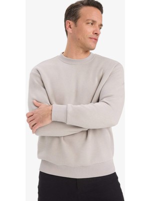 DeFacto Relax Fit Bisiklet Yaka Kalın İçi Yumuşak Tüylü Basic Düz Sweatshirt T5139AZ25AU