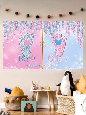 Girl Or Boy Cinsiyet Temalı Özel Cinsiyet Afişi Arka Fonu 60X100 Vinil Branda Pankart Süsü