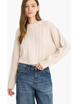 DeFacto Regular Fit Bisiklet Yaka Triko Kazak T4518AZ25WN