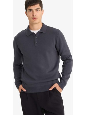 DeFacto Standart Fit Polo Yaka Triko Kazak F1523AX25AU