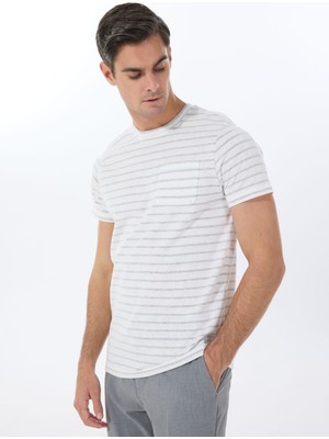 Altınyıldız Classics Bisiklet Yaka Çizgili Ekru Erkek T-Shirt ACE091252120_EHK