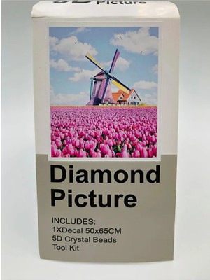 65X50 Boncuklu Taş Işleme Mozaik Elmas Goblen Tablo Resim Boncuk Puzzle Dıamond Paıntıng Hı Stone