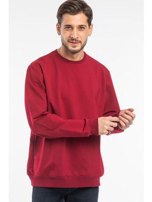 Süperlife Erkek Bisiklet Yaka Regular Fit Ince Sweatshirt Spr 20K30