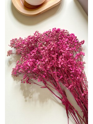 Cassia Cipso Kuru Bitki Pembe