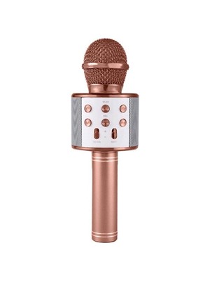 Subzero TV50 Usb-Aux Girişli Karaoke Mikrofon