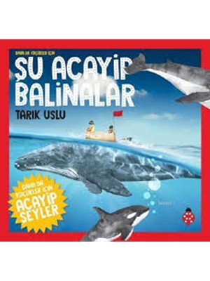 Şu Acayip Balinalar - Uğurböceği Yayınları