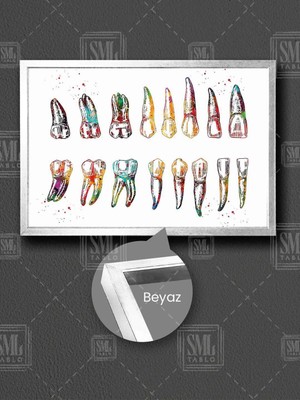 Renkli Insan Dişleri Diş Polikliniği Diş Doktoru Muayenehane Çerçeveli Yatay Kanvas Tablo