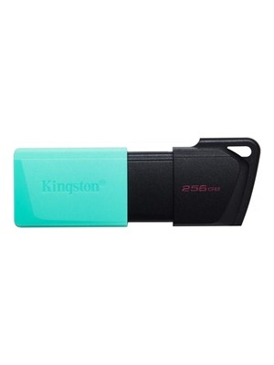 Kingston DTXM-256GB USB 3.2 Flash Bellek